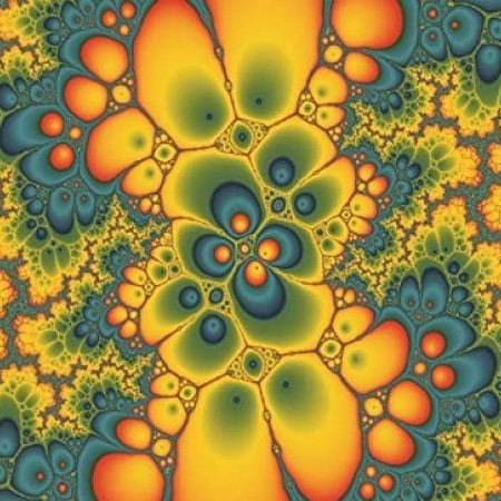 Illustrazione a colori